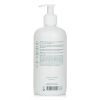 BJORK & BERRIES - Never Spring Shampoo 300122 400ml/13.5oz