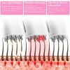 2 IN 1 Electric Scalp Massager And Hair Oil Applicator For Essential Oil Hair Growth Treatment Type-C Rechargeable IPX5 Waterproof Red Light Therapy V